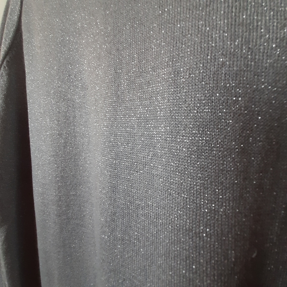 Samantha Brown Silver Metallic Knit Sweater - Picture 3 of 8